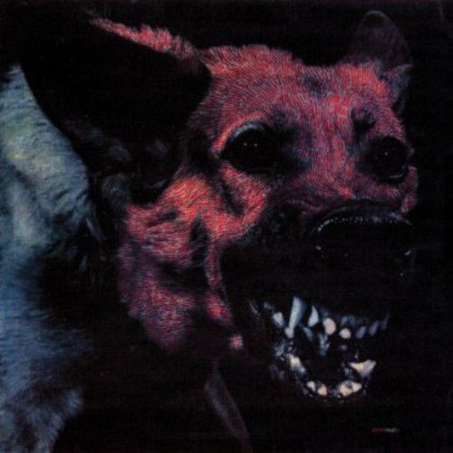 protomartyr-under-color-of-official-right