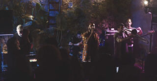 Blend Mishkin & Roots Evolution