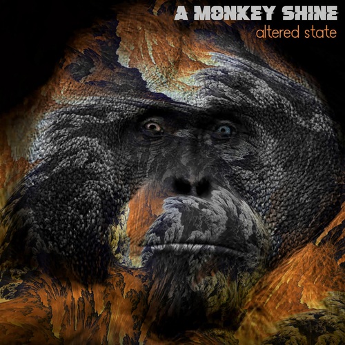 A MONKEY SHINE – Altered State